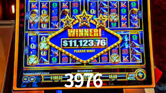 Premium Interface 3976